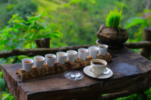 Кофейная плантация на Бали