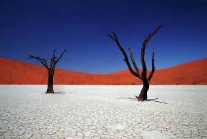 Что посмотреть туристам в Намибии